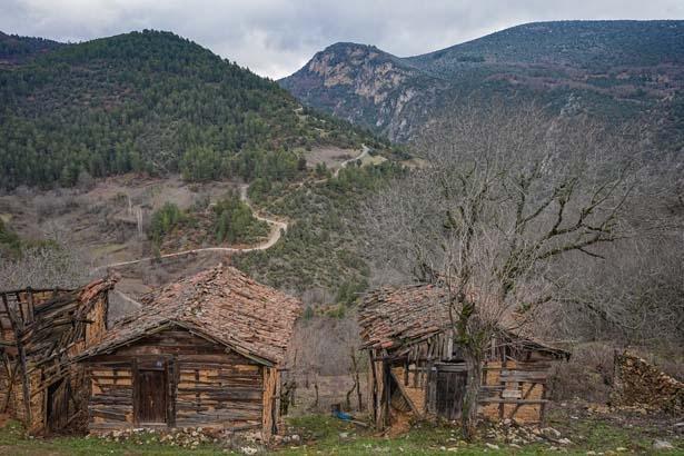 Şehre giden köye dönüyor: Kafasına göre bir hayat, kendi işini yapma şansı var