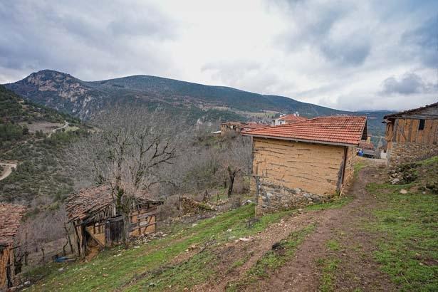Şehre giden köye dönüyor: Kafasına göre bir hayat, kendi işini yapma şansı var