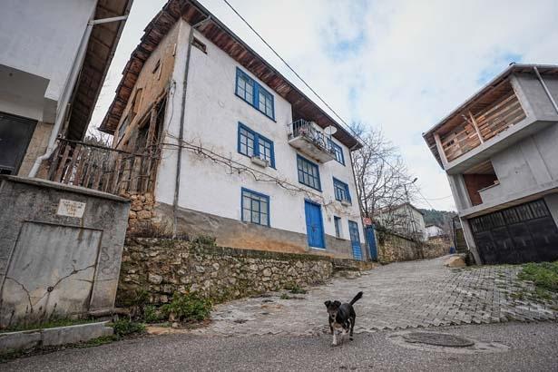 Şehre giden köye dönüyor: Kafasına göre bir hayat, kendi işini yapma şansı var