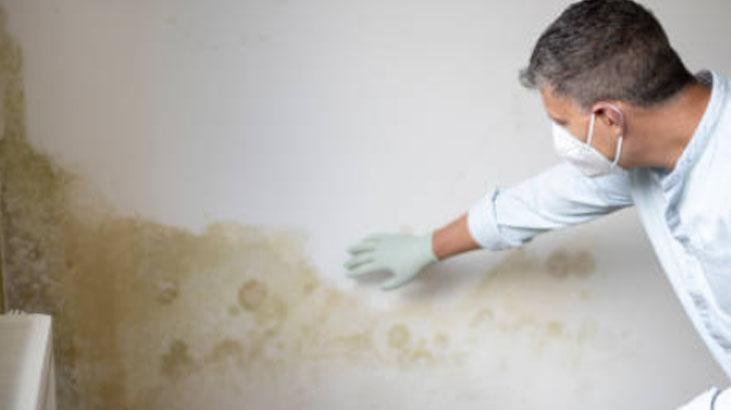 Kadir Ezildiden kirli, isli duvarı ağartan tüyo Yarışmada uyardı: Tersini çevirin