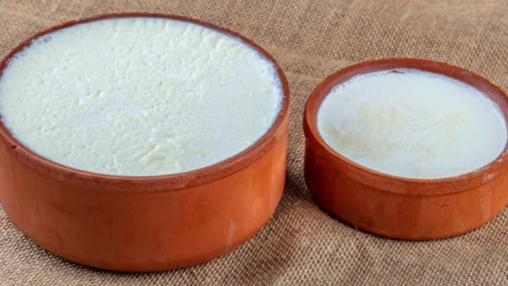 TEREYAĞI İLE YOĞURT NASIL MAYALANIR