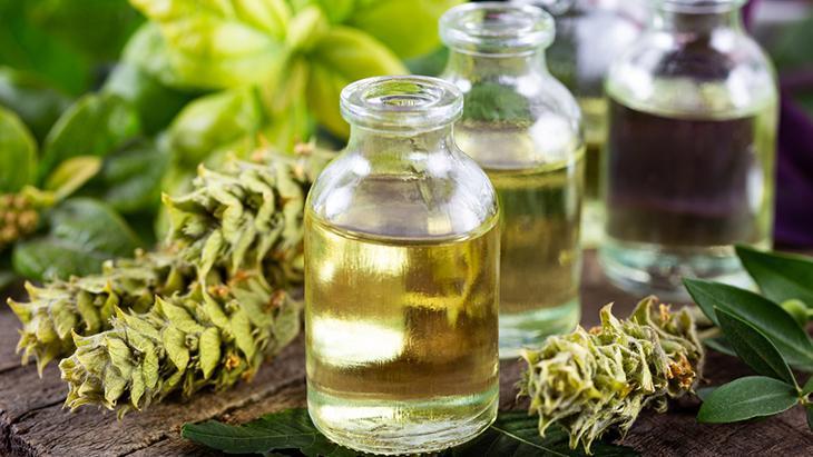 Kekik yağı ile doğal koruma