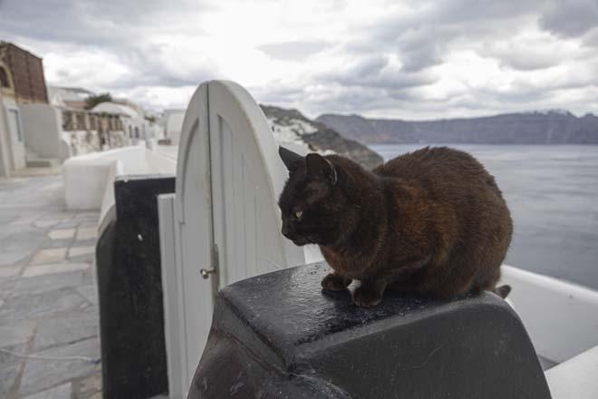 Egede deprem kabusu sürerken, Santorini hayalet adaya döndü