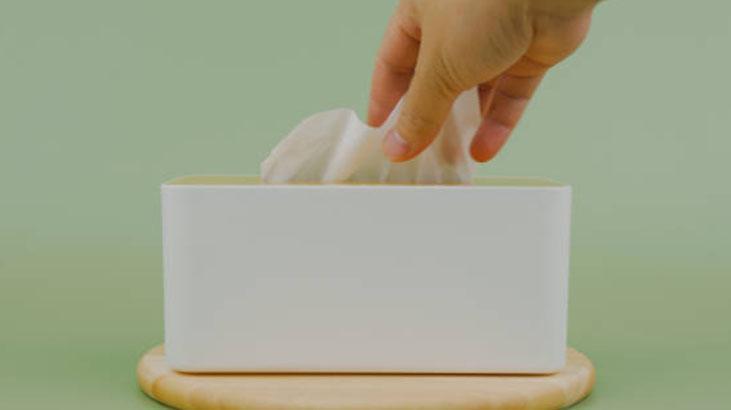 Paket paket ıslak mendil almaya son Evde rulo yöntemi en etkilisi, tertemiz yapıyor