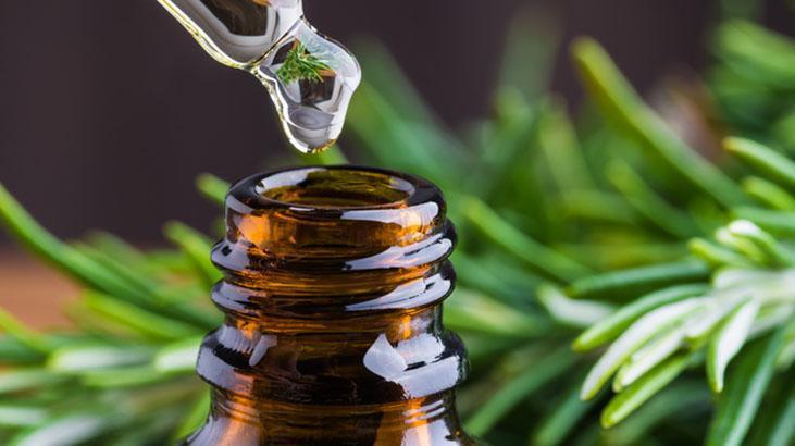 Çay Ağacı Yağı