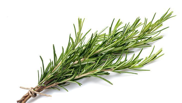 Doğal çözüm deniyor, biberiye yağı masum mu Saçları kırık içinde bırakabilir