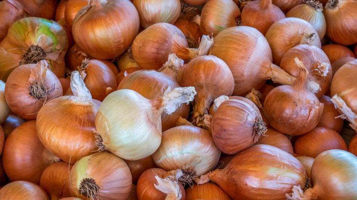 Almadan kontrol şart, her soğan aynı değil Düzse daha tatlı, en tazesi böyle anlaşılır