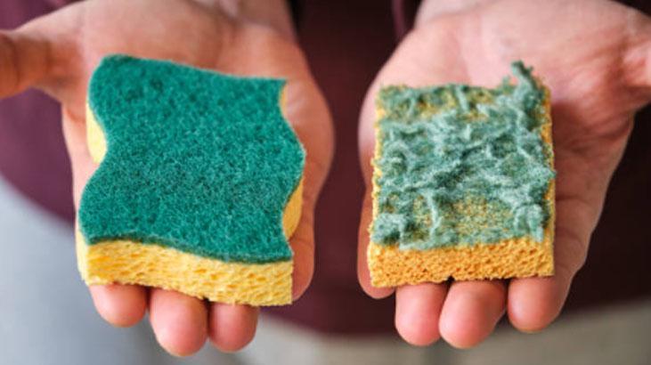 Yeşili, sarısı, mavisi var Meğer tesadüf değilmiş, her süngerin amacı farklı