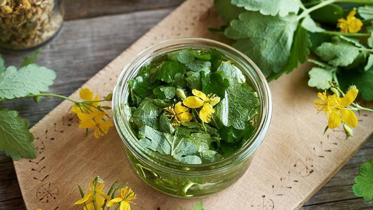 BİLİMSEL KANIT YOK, VERİ BULAMADIK