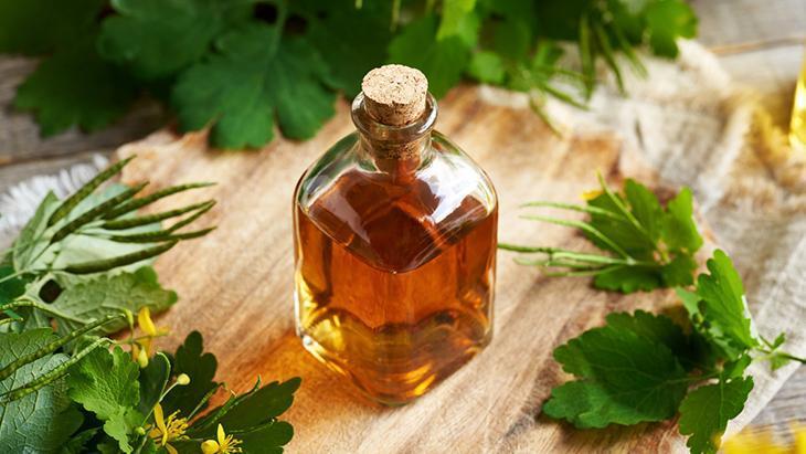 Göze damlatılan kırlangıç otu ne kadar faydalı Bilimsel gerçek: Geri dönüşü yok