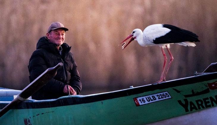 ADEM AMCA VE YAREN LEYLEK NEREDE YAŞIYOR