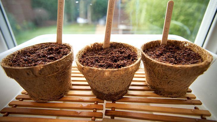 Tohumları anında filizlendiren yöntem Tek hamleyle ektiklerinizi kurtarın