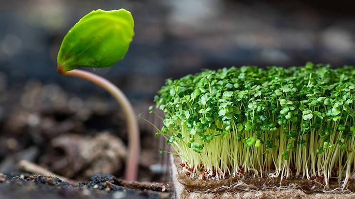 1- Zamanı dolmamış olabilir