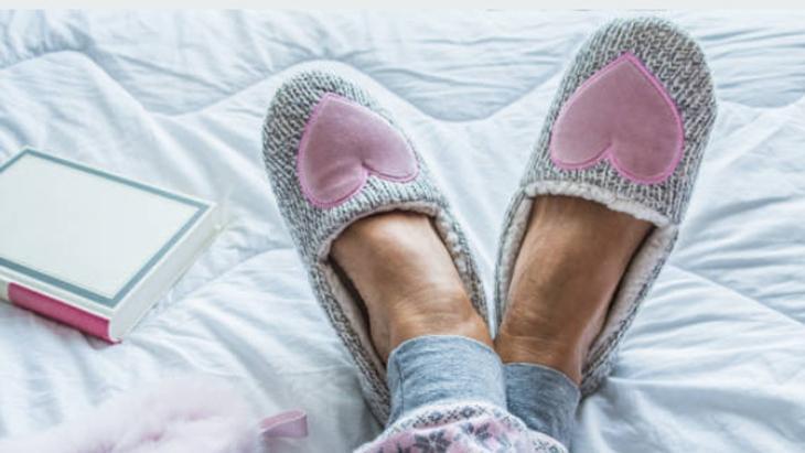 EV TERLİĞİ KOKUSU NASIL GİDERİLİR