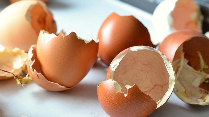 Artan haşlanmış yumurtalar kağıt havluya emanet Günlerce taze kalıyor