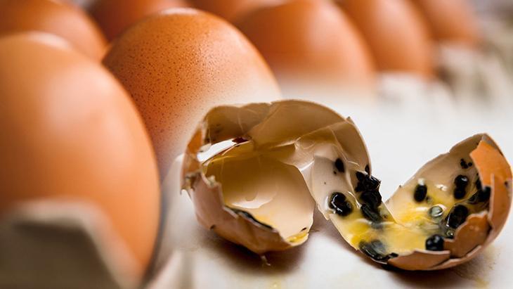 Artan haşlanmış yumurtalar kağıt havluya emanet Günlerce taze kalıyor