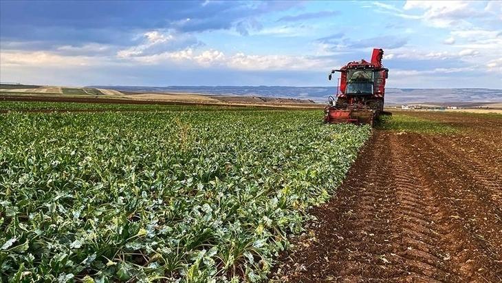 2025 MART MAZOT GÜBRE DESTEĞİ NE ZAMAN YATACAK