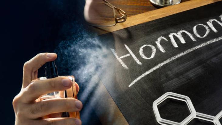 HORMON DÖNGÜSÜ VE PARFÜM