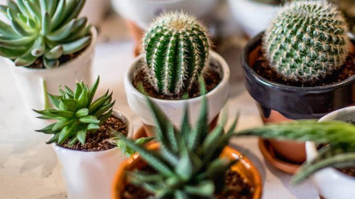 MUCİZE DAMLA TARİFİ MUCİZE DAMLA TARİFİ