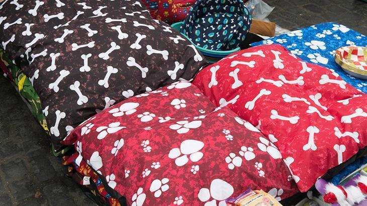 Köpek ya da kedi fark etmez Komple yıkamak şartmış, 60 derece en iyisi