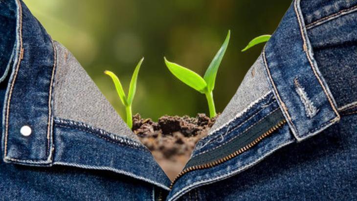 Toprağa ekip pantolon serin Bahçıvanların sırrıymış: 10 gün sonra kontrol edin