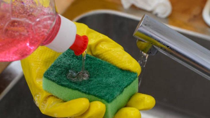 Kanatlı karınca gördüğünüz yere serpin İstilayı bitiyor, pudra şekeriyle karıştırın