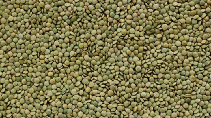 Baklagilleriniz asla böceklenmeyecek İş bitiren üçlü: Defne, tuz ve sarımsak