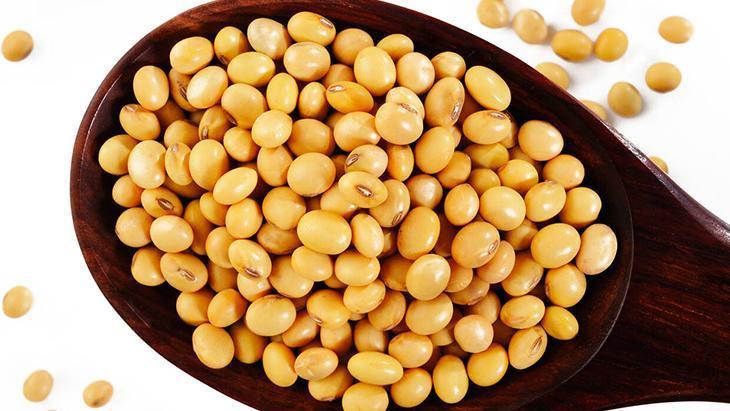 2- Soya fasulyesi 2- Soya fasulyesi