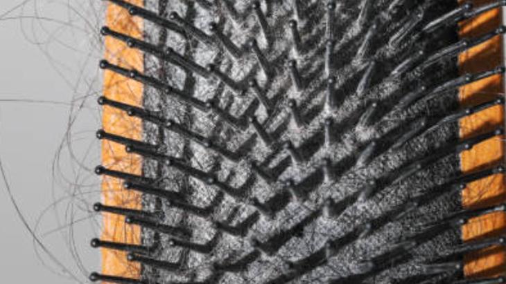 TARAK TEMİZLİĞİ NASIL YAPILIR