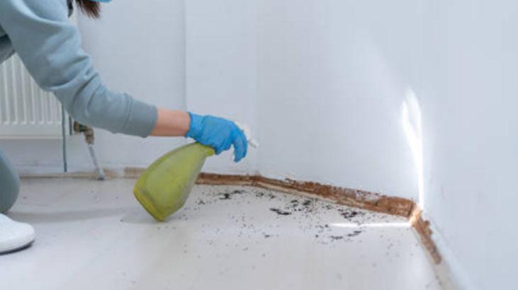 Meyve sepetine üşüşemiyorlar Sinekler bu kokudan kaçıyor, mutfağa uğramıyor