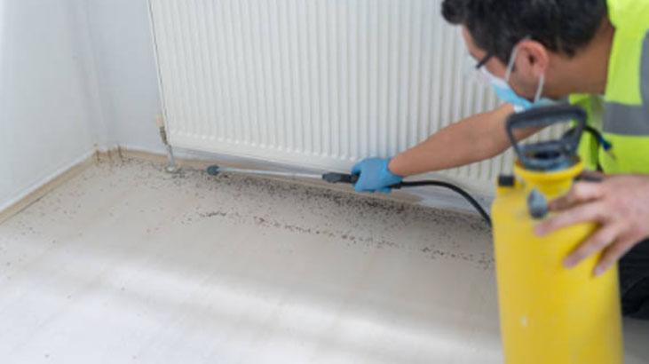 Meyve sepetine üşüşemiyorlar Sinekler bu kokudan kaçıyor, mutfağa uğramıyor