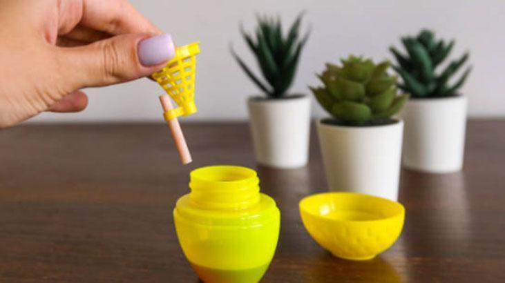 Meyve sepetine üşüşemiyorlar Sinekler bu kokudan kaçıyor, mutfağa uğramıyor