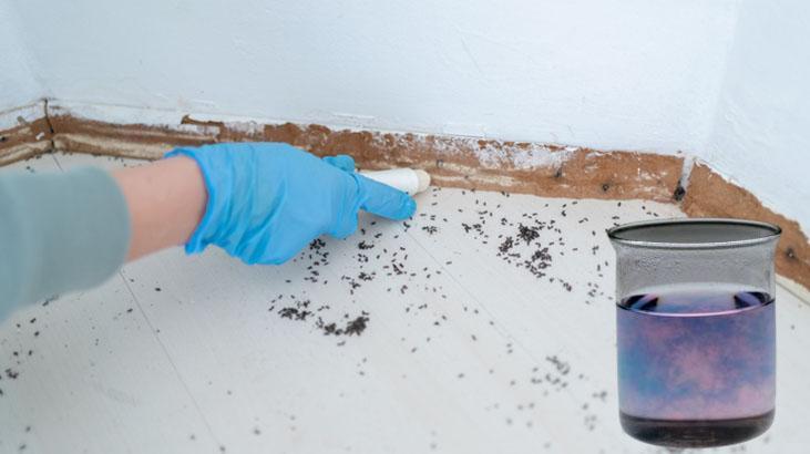 Meyve sepetine üşüşemiyorlar Sinekler bu kokudan kaçıyor, mutfağa uğramıyor