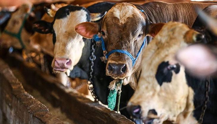 KURBAN BAYRAMI TATİLİ KAÇ GÜN