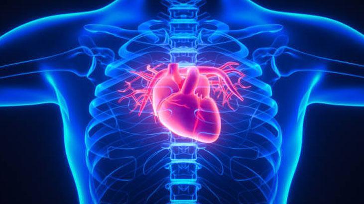 Aort damarı neden yırtılır