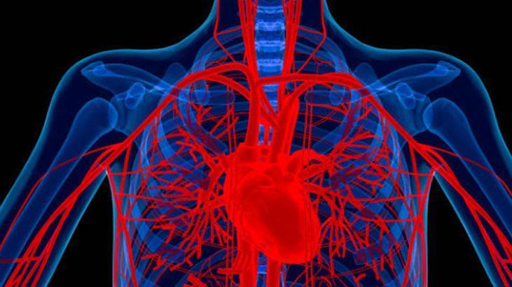 Aort damarı yırtılması ameliyatı kaç saat sürer