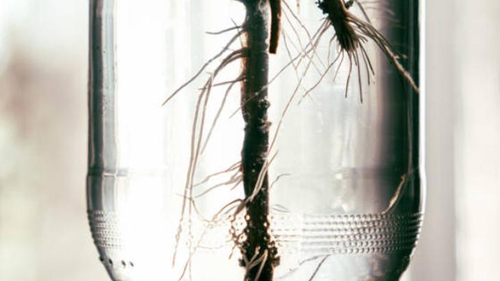 SUYUN VE KABIN HAZIRLANMASI