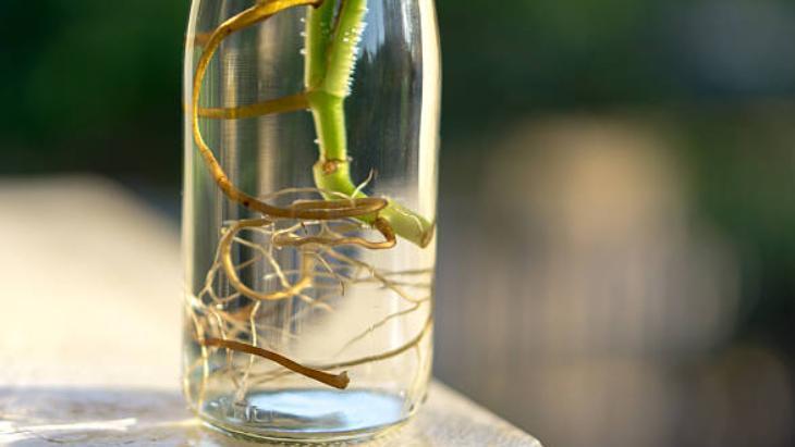 TOPRAĞA AKTARMA İŞLEMİ