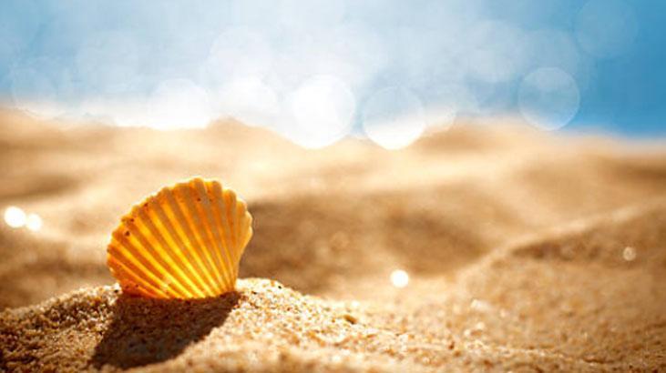 Plajda kum kabusu bitiyor Hiç bulaşmayacak, turistin plastik poşet taktiği