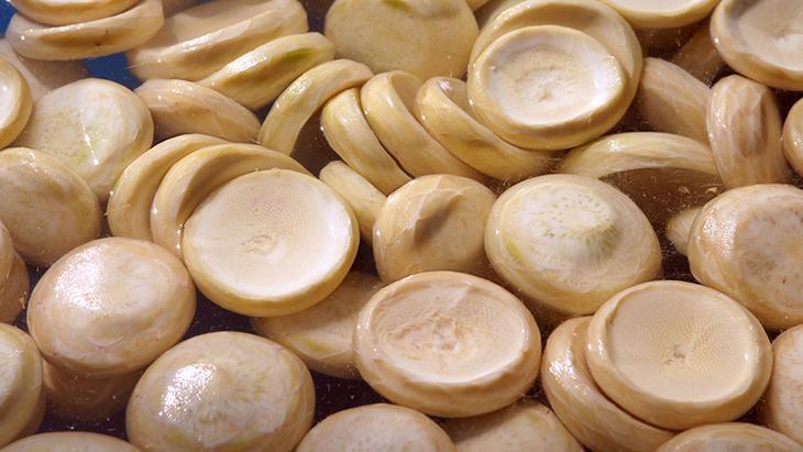 Gerçek bir süper besin