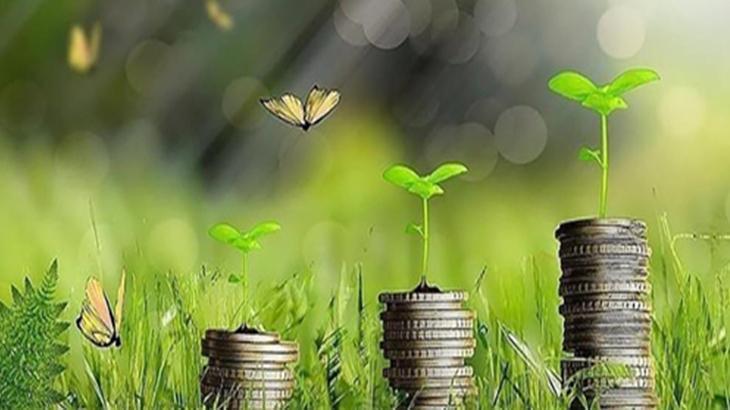 İKLİM DEĞİŞİKLİĞİ İLERLEME DURUMU GOOGLE’DA DOODLE OLDU