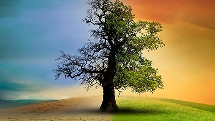 DÜNYA GÜNÜ NEDİR