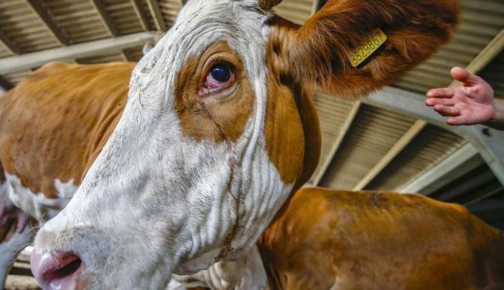 KURBAN BAYRAMI TATİLİ KAÇ GÜN