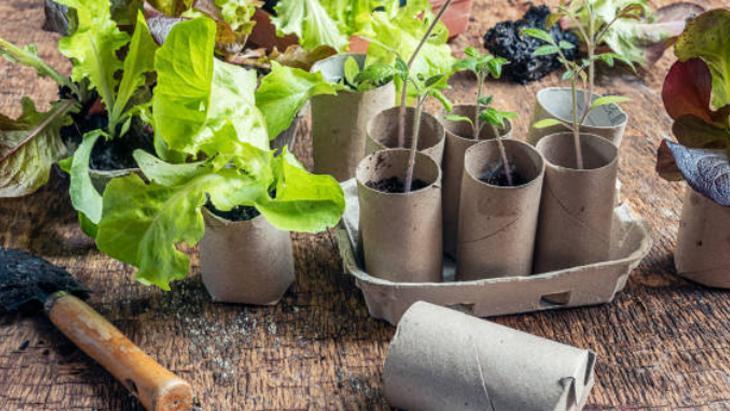 BAHÇE İŞİYLE UĞRAŞANLAR İÇİN ÇOK DEĞERLİ