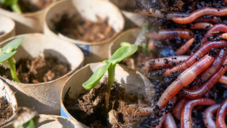 Biten rulolar altın değerinde Vitamin olup besliyor, bahçeyi coşturan etki