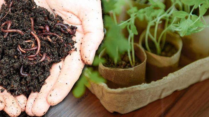 ÇÖPE DEĞİL TOPRAĞA KAZANDIRIN