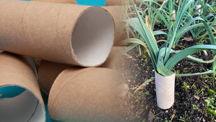 Biten rulolar altın değerinde Vitamin olup besliyor, bahçeyi coşturan etki