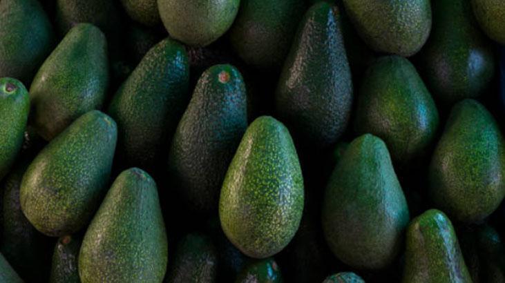 Olgun avokadoyu 10 metre öteden seçeceksiniz Sapı ele veriyor, hafifçe sıkın
