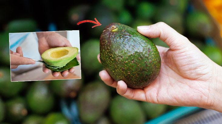 Olgun avokadoyu 10 metre öteden seçeceksiniz Sapı ele veriyor, hafifçe sıkın