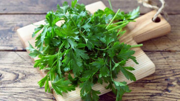 Maydanozu 1 ay dipdiri tutan taktik Karbonat dökün, sonucu görün